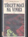 Třicet nocí na vinici - náhled