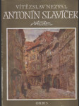 Antonín Slavíček - náhled