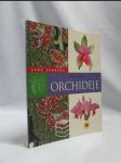 Orchideje - náhled