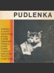 Pudlenka - náhled