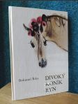 Divoký koník Ryn - náhled