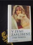 V zemi zaslíbené ? - náhled