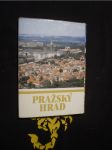 Pražský hrad - náhled