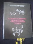 Ilustrovaná příručka pre diagnostiku vybraných nákaz zvierat - náhled