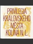 Privilegia královského města Kolína n. L. - náhled