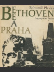 Beethoven a Praha - náhled