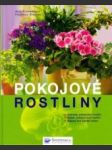 Pokojové rostliny základy pěstování rostlin, výběr pokojových rostlin, nápad pro každé místo - náhled