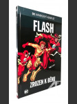 Flash. Zrozen k běhu - náhled