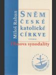 Sněm české katolické církve - náhled