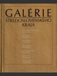 Galérie Stredoslovenského kraja - náhled