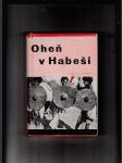 Oheň v Habeši - náhled