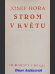 Strom v květu 1915 - 1918 - hora josef - náhled