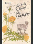 Léto s kovbojem - náhled