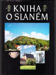 Kniha o Slaném - náhled