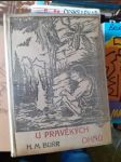 U pravÄ›kĂ˝ch ohĹ�ĹŻ - Knihovna Walden sv. XI. - náhled