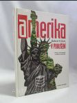 Amerika v pokušení: Právo vystavené svodům politiky - náhled