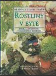 Rostliny v bytě - náhled