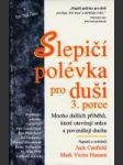 Slepičí polévka pro duši  3. porce - náhled