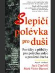 Slepačí polévka pro duši - náhled