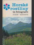 Horské rostliny ve fotografii - náhled