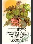 Ježek Pospíchálek a želva Loudalka - náhled