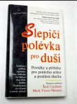 Slepičí polévka pro duši - náhled