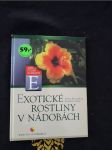 Exotické rostliny v nádobách - náhled