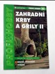 Zahradní krby a grilly ii - náhled