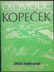 OLOMOUC KOPEČEK v kulturně historických souvislostech - MUSIL Jiří V. - náhled