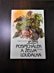 Ježek Pospíchálek a želva Loudalka - náhled