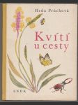 Kvítí u cesty - náhled