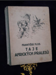 Taje afrických pralesů - náhled