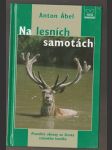 Na lesních samotách - náhled