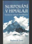 Surfování v himálaji - náhled