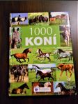 1000 koní - náhled