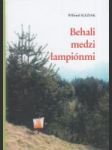 Behali medzi lampiónmi - náhled