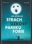 Jak překonat strach, úzkost, paniku, fobie - náhled