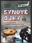 Synové duhy sk308. marek jindřich - náhled