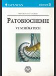 Patobiochemie ve schématech - náhled