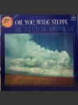 Oh, you, wide steppe / ach ty, stěp širokaja v/a - náhled