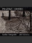 Pražský chodec - náhled