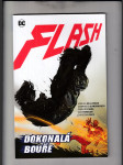 Flash. Dokonalá bouře - náhled