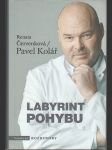 Labyrint pohybu - náhled