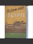 Co jsem viděl v Egyptě (Egypt) - náhled