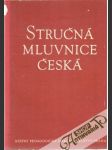 Stručná mluvnice Česká - náhled