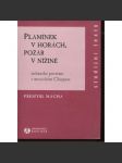 Plamínek v horách, požár v nížině (Mexiko) - náhled