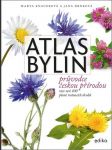 Atlas bylin drnková jana, knauerová marta - náhled