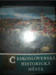 Československá historická města - DOSTÁL Oldřich a kol. - náhled