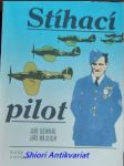 Stihací pilot - sehnal jiří / rajlich jiří - náhled