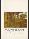 Vlídné setkání - náhled